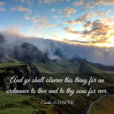 Picture 03 - Exodus 12:24 ASV - And ye shall observe this thing for an ordinance - Bible Verse Picture