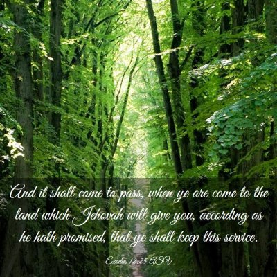 Picture 03 - Exodus 12:25 ASV - And it shall come to pass, when ye are come to - Bible Verse Picture