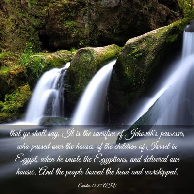 Picture 03 - Exodus 12:27 ASV - that ye shall say, It is the sacrifice of - Bible Verse Picture