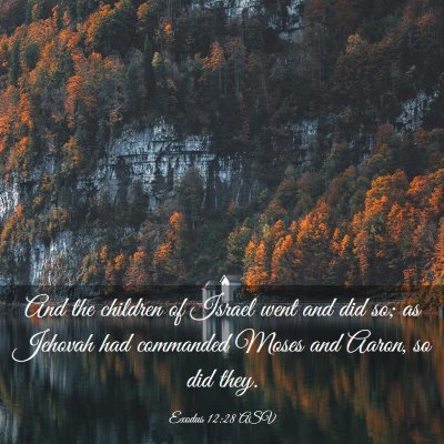 Picture 03 - Exodus 12:28 ASV - And the children of Israel went and did so; as - Bible Verse Picture