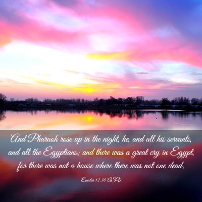 Picture 03 - Exodus 12:30 ASV - And Pharaoh rose up in the night, he, and all his - Bible Verse Picture