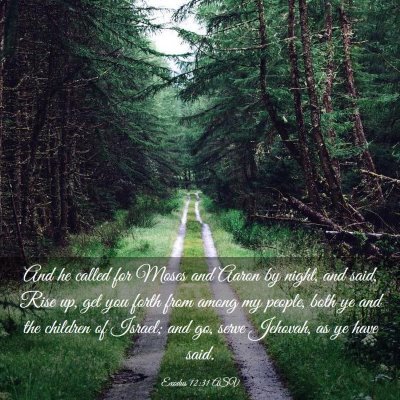 Picture 03 - Exodus 12:31 ASV - And he called for Moses and Aaron by night, and - Bible Verse Picture