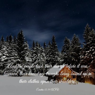 Picture 03 - Exodus 12:34 ASV - And the people took their dough before it was - Bible Verse Picture