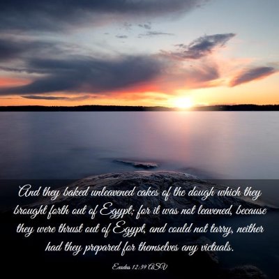 Picture 03 - Exodus 12:39 ASV - And they baked unleavened cakes of the dough - Bible Verse Picture