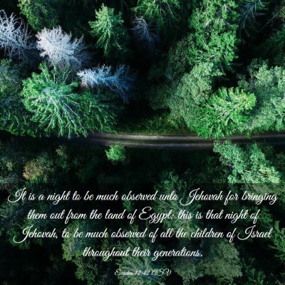 Picture 03 - Exodus 12:42 ASV - It is a night to be much observed unto Jehovah - Bible Verse Picture