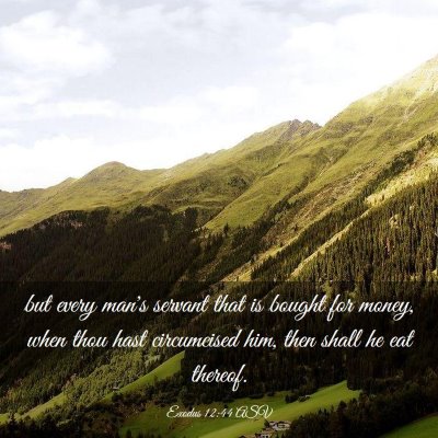 Picture 03 - Exodus 12:44 ASV - but every man's servant that is bought for money, - Bible Verse Picture