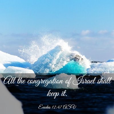 Picture 03 - Exodus 12:47 ASV - All the congregation of Israel shall keep - Bible Verse Picture