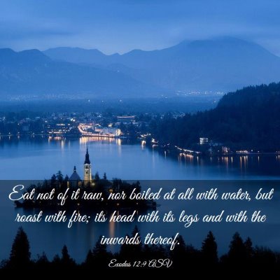 Picture 03 - Exodus 12:9 ASV - Eat not of it raw, nor boiled at all with water, - Bible Verse Picture