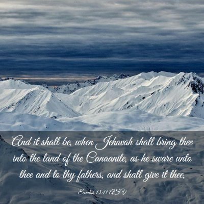Picture 03 - Exodus 13:11 ASV - And it shall be, when Jehovah shall bring thee - Bible Verse Picture