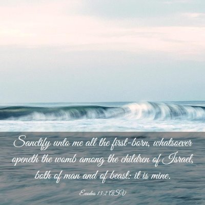 Picture 03 - Exodus 13:2 ASV - Sanctify unto me all the first-born, whatsoever - Bible Verse Picture