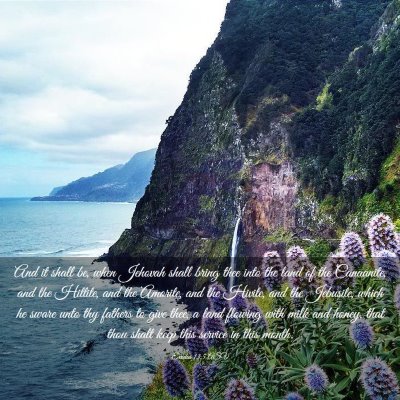 Picture 03 - Exodus 13:5 ASV - And it shall be, when Jehovah shall bring thee - Bible Verse Picture