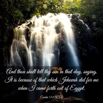 Picture 03 - Exodus 13:8 ASV - And thou shalt tell thy son in that day, saying, - Bible Verse Picture