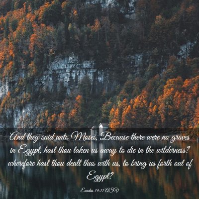 Picture 03 - Exodus 14:11 ASV - And they said unto Moses, Because there were no - Bible Verse Picture