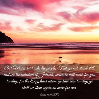 Picture 03 - Exodus 14:13 ASV - And Moses said unto the people, Fear ye not, - Bible Verse Picture