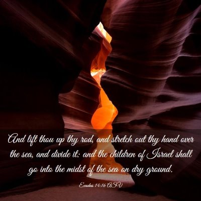 Picture 03 - Exodus 14:16 ASV - And lift thou up thy rod, and stretch out thy - Bible Verse Picture