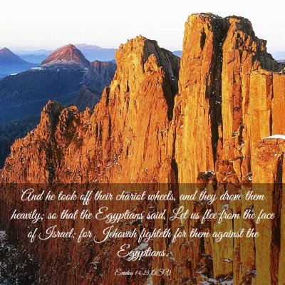 Picture 03 - Exodus 14:25 ASV - And he took off their chariot wheels, and they - Bible Verse Picture
