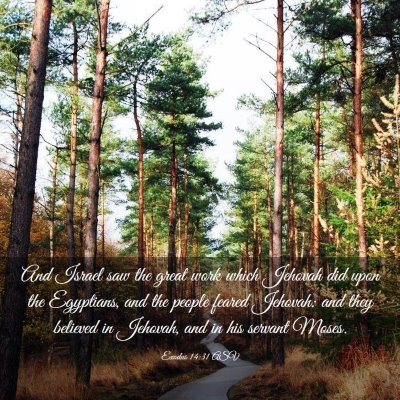 Picture 03 - Exodus 14:31 ASV - And Israel saw the great work which Jehovah did - Bible Verse Picture