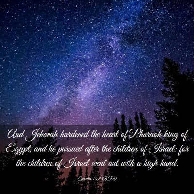 Picture 03 - Exodus 14:8 ASV - And Jehovah hardened the heart of Pharaoh king of - Bible Verse Picture