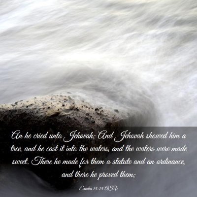 Picture 03 - Exodus 15:25 ASV - An he cried unto Jehovah; And Jehovah showed him - Bible Verse Picture
