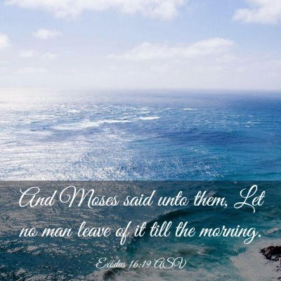 Picture 03 - Exodus 16:19 ASV - And Moses said unto them, Let no man leave of it - Bible Verse Picture