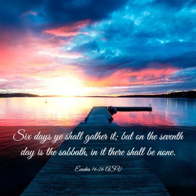 Picture 03 - Exodus 16:26 ASV - Six days ye shall gather it; but on the seventh - Bible Verse Picture