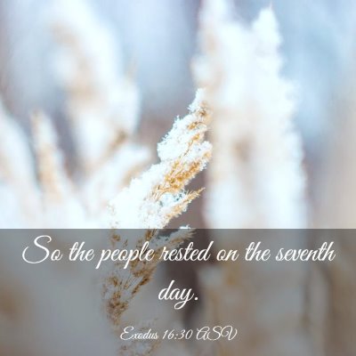 Picture 03 - Exodus 16:30 ASV - So the people rested on the seventh - Bible Verse Picture