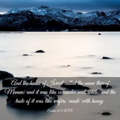 Picture 03 - Exodus 16:31 ASV - And the house of Israel called the name thereof - Bible Verse Picture