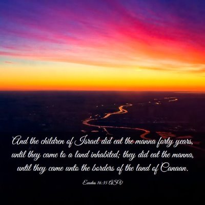 Picture 03 - Exodus 16:35 ASV - And the children of Israel did eat the manna - Bible Verse Picture
