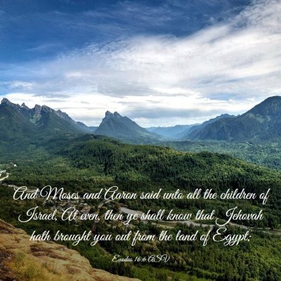 Picture 03 - Exodus 16:6 ASV - And Moses and Aaron said unto all the children of - Bible Verse Picture