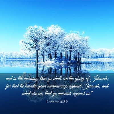 Picture 03 - Exodus 16:7 ASV - and in the morning, then ye shall see the glory - Bible Verse Picture