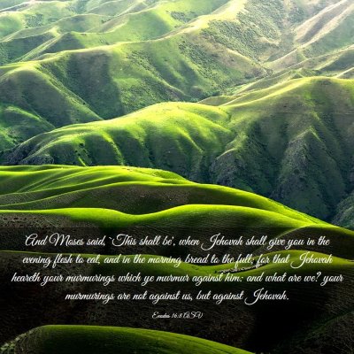 Picture 03 - Exodus 16:8 ASV - And Moses said, `This shall be', when Jehovah - Bible Verse Picture