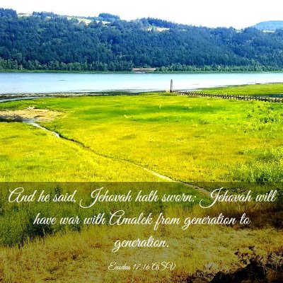 Picture 03 - Exodus 17:16 ASV - And he said, Jehovah hath sworn: Jehovah will - Bible Verse Picture
