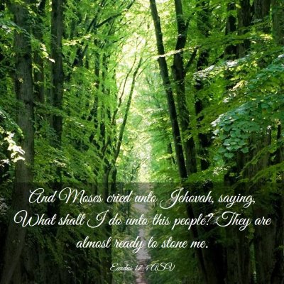 Picture 03 - Exodus 17:4 ASV - And Moses cried unto Jehovah, saying, What shall - Bible Verse Picture