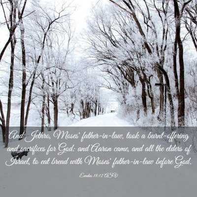 Picture 03 - Exodus 18:12 ASV - And Jethro, Moses' father-in-law, took a - Bible Verse Picture