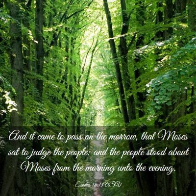 Picture 03 - Exodus 18:13 ASV - And it came to pass on the morrow, that Moses sat - Bible Verse Picture