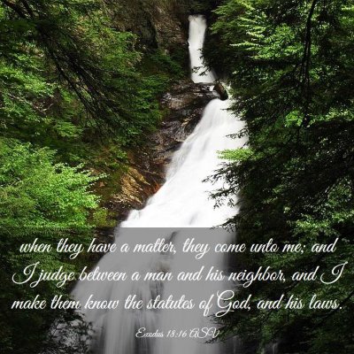 Picture 03 - Exodus 18:16 ASV - when they have a matter, they come unto me; and I - Bible Verse Picture