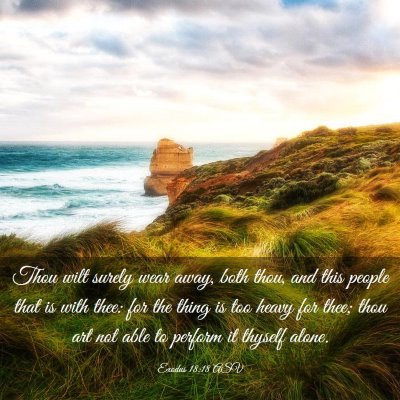 Picture 03 - Exodus 18:18 ASV - Thou wilt surely wear away, both thou, and this - Bible Verse Picture