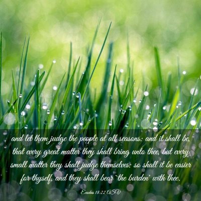 Picture 03 - Exodus 18:22 ASV - and let them judge the people at all seasons: and - Bible Verse Picture