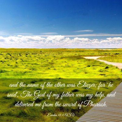 Picture 03 - Exodus 18:4 ASV - and the name of the other was Eliezer; for `he - Bible Verse Picture