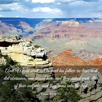 Picture 03 - Exodus 18:7 ASV - And Moses went out to meet his father-in-law, and - Bible Verse Picture