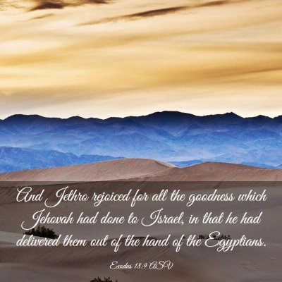 Picture 03 - Exodus 18:9 ASV - And Jethro rejoiced for all the goodness which - Bible Verse Picture