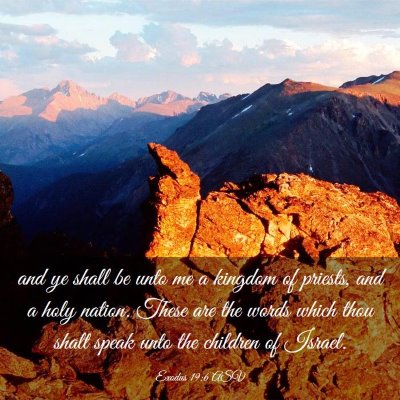 Picture 03 - Exodus 19:6 ASV - and ye shall be unto me a kingdom of priests, and - Bible Verse Picture