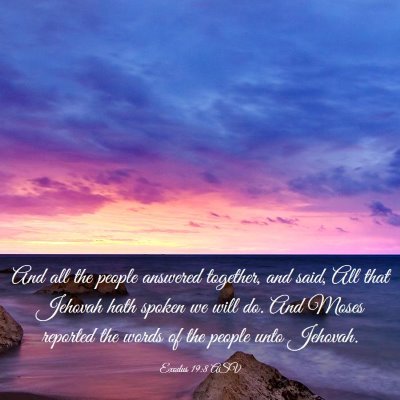 Picture 03 - Exodus 19:8 ASV - And all the people answered together, and said, - Bible Verse Picture