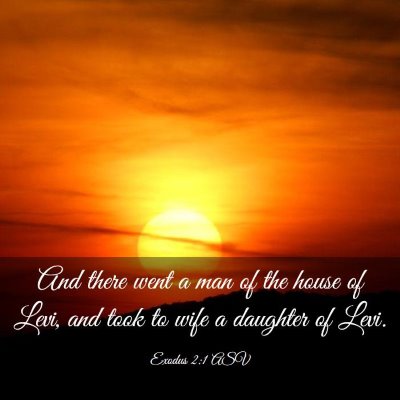 Picture 03 - Exodus 2:1 ASV - And there went a man of the house of Levi, and - Bible Verse Picture