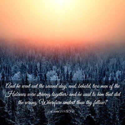 Picture 03 - Exodus 2:13 ASV - And he went out the second day, and, behold, two - Bible Verse Picture
