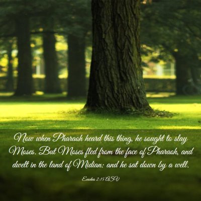 Picture 03 - Exodus 2:15 ASV - Now when Pharaoh heard this thing, he sought to - Bible Verse Picture