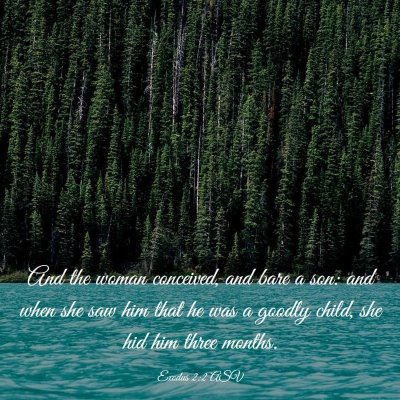 Picture 03 - Exodus 2:2 ASV - And the woman conceived, and bare a son: and when - Bible Verse Picture