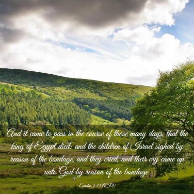 Picture 03 - Exodus 2:23 ASV - And it came to pass in the course of those many - Bible Verse Picture