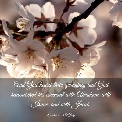 Picture 03 - Exodus 2:24 ASV - And God heard their groaning, and God remembered - Bible Verse Picture