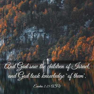 Picture 03 - Exodus 2:25 ASV - And God saw the children of Israel, and God took - Bible Verse Picture